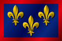 Flag of Anjou