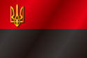 Flag of Pravyi Sektor (variant 11)