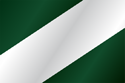 Flag of Riells i Viabrea