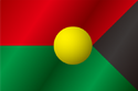 Flag of Trinida