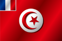 Flag of Tunisia (1881-1885)