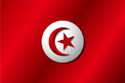 Flag of Tunisia (1885-1999)