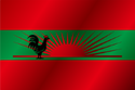 Flag of UNITA (variant)
