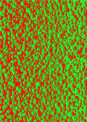 Pattern's 40 0008-07