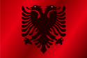 Flag of Albania (1918-1920)