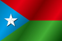 Flag of Baloch Liberation Army