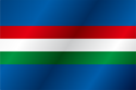 Flag of Borohradek
