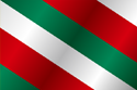 Flag of Brzeziny