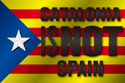 Flag of Catalonia Independencia 2014