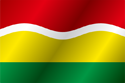 Flag of Dantumadeel (variant)