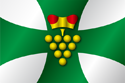 Flag of Domanin Hodonin District