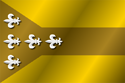 Flag of Dorado