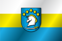 Flag of Dziemiany