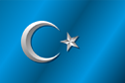 Flag of East Turkistan