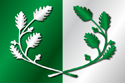 Flag of Eeklo