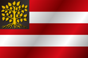 Flag of Hertogenbosch