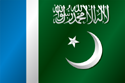 Flag of Jamaat-e-Islami