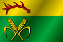 Flag of Krasny Les