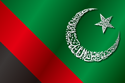 Flag of Majlis e Wahdat-ul-Muslimeen (MWM)
