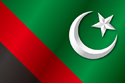 Flag of Majlis e Wahdat-ul-Muslimeen (MWM) (variant 1)