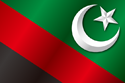 Flag of Majlis e Wahdat-ul-Muslimeen (MWM) (variant 2)
