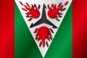 Flag of Ohnic