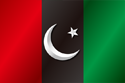 Flag of Pakistan People's Party (PPP)