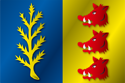 Flag of Rijssen-Holten