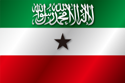 Flag of Somaliland (1996)