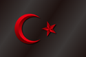 Flag of Turan