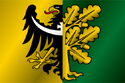 Flag of Walbrzyski