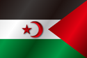 Flag of Western Sahara (reverse)