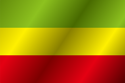Flag of Witnica