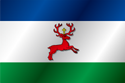 Flag of Wyrzysk